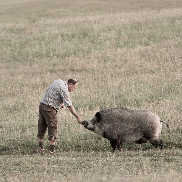 0203_truffel_pig_slovenia_michael-grobe-bilder__14g2513.jpg