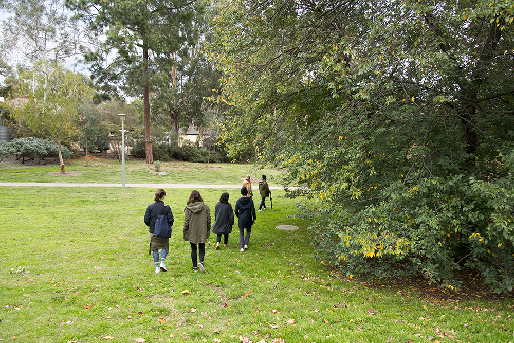 Wandering through the Australian National University