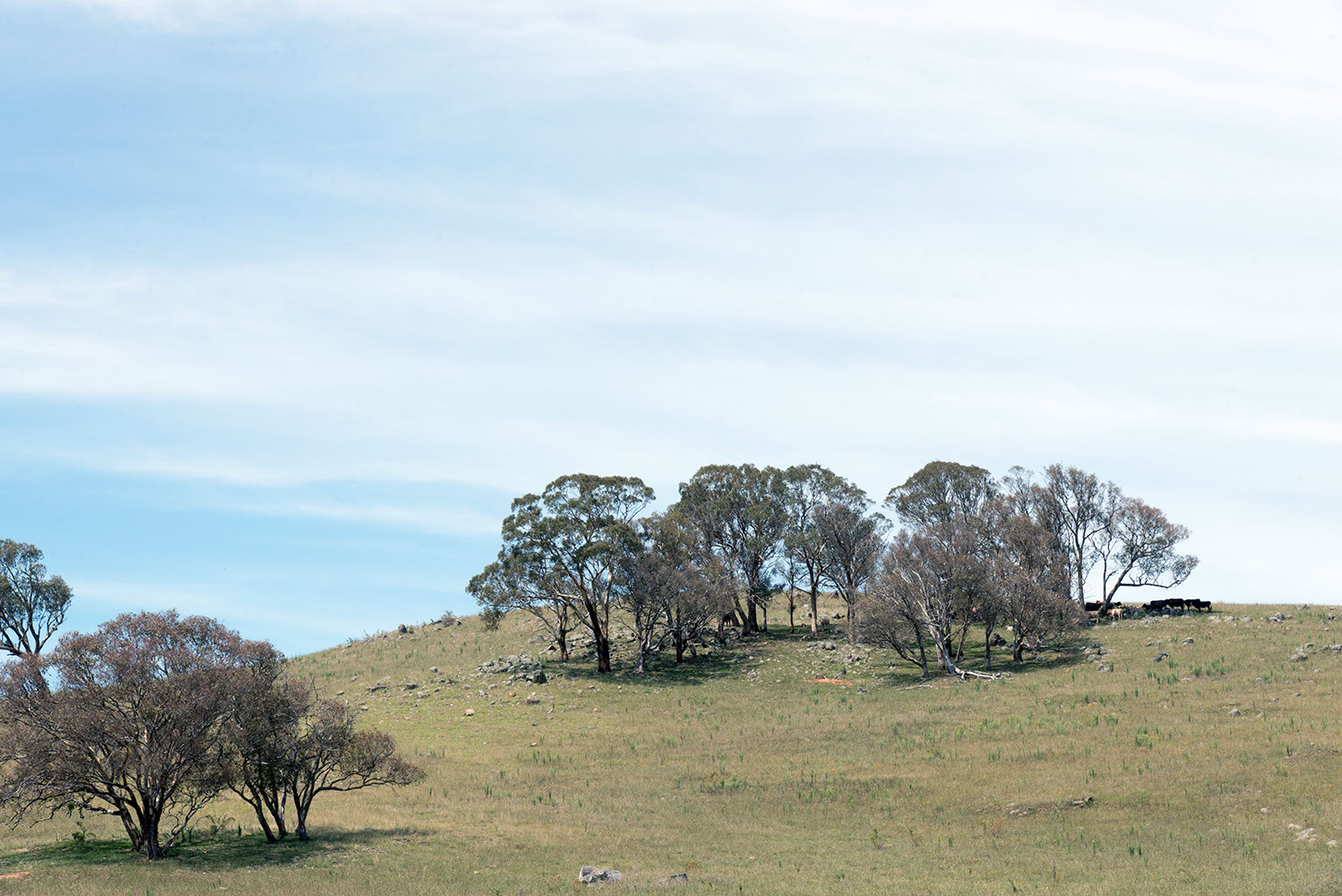 'Jeir landscape' shot by Lee Grant.