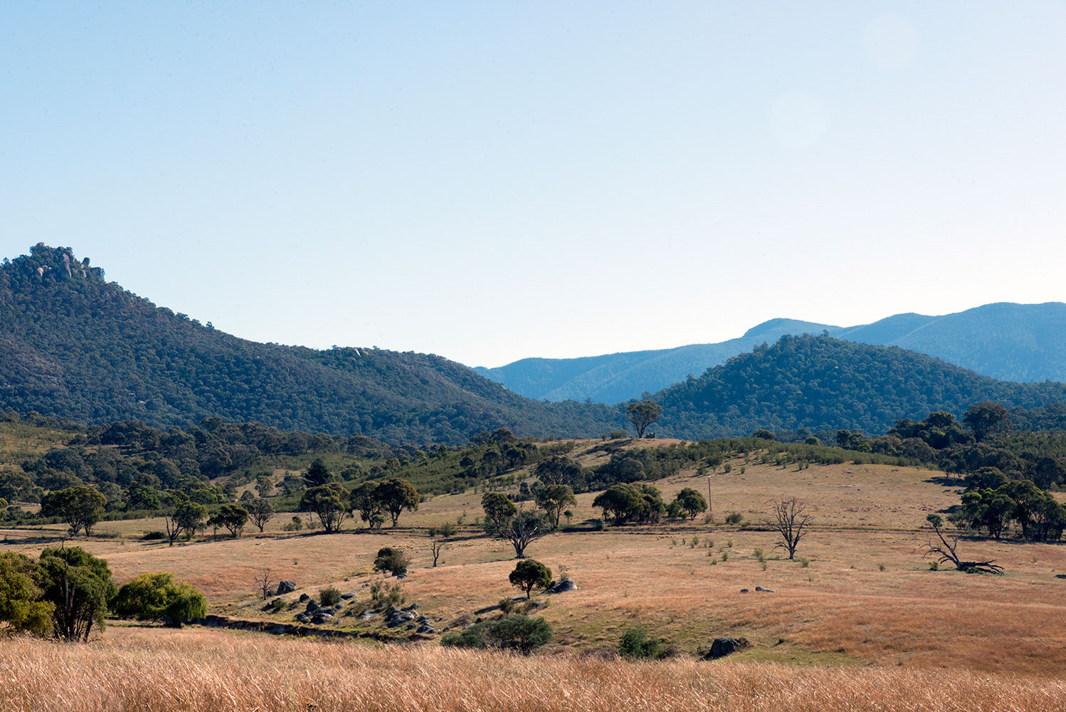 'Namadgi landscape' shot by Lee Grant. 