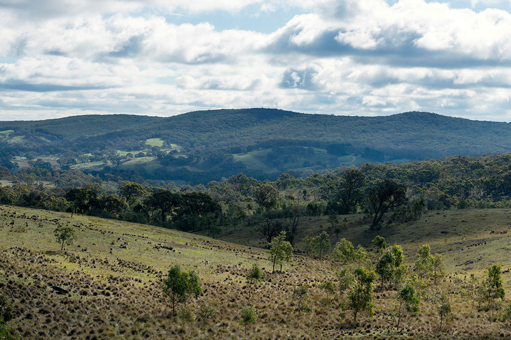 'Lake George landscape' shot by Lee Grant.