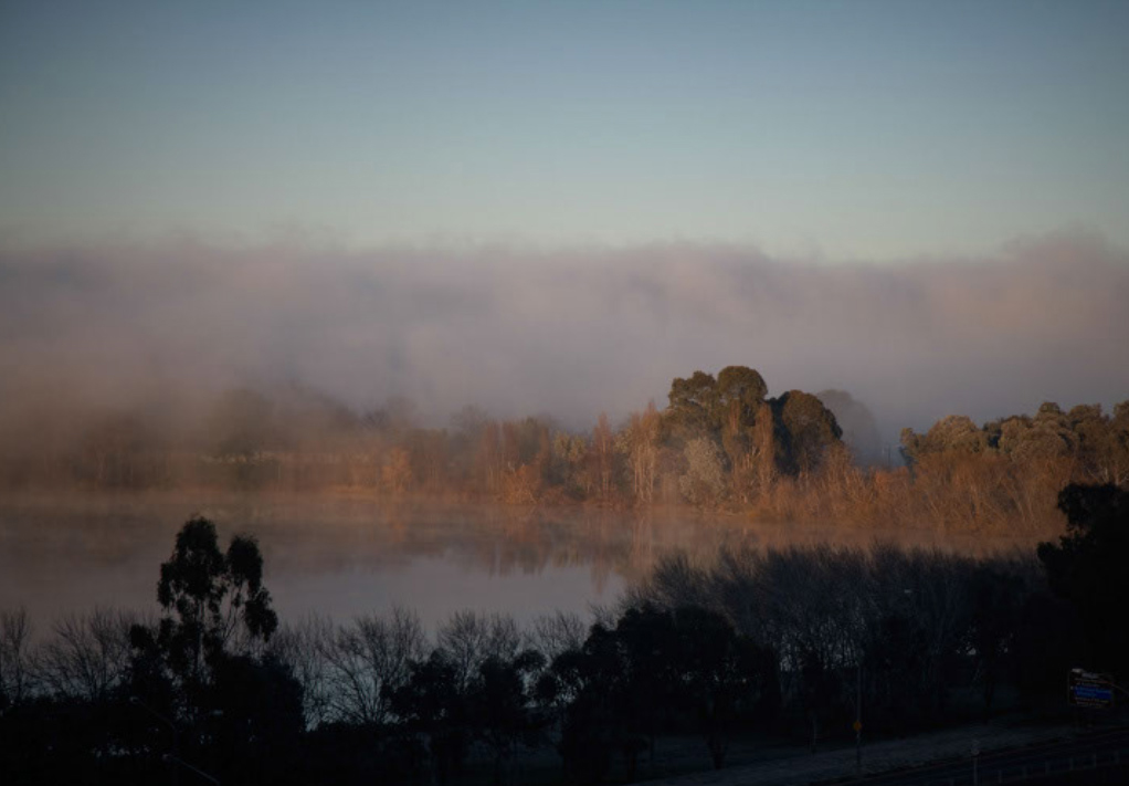 View from the Nishi building. Shot by Dianne Snape.