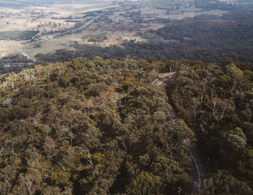 View from Telstra Tower