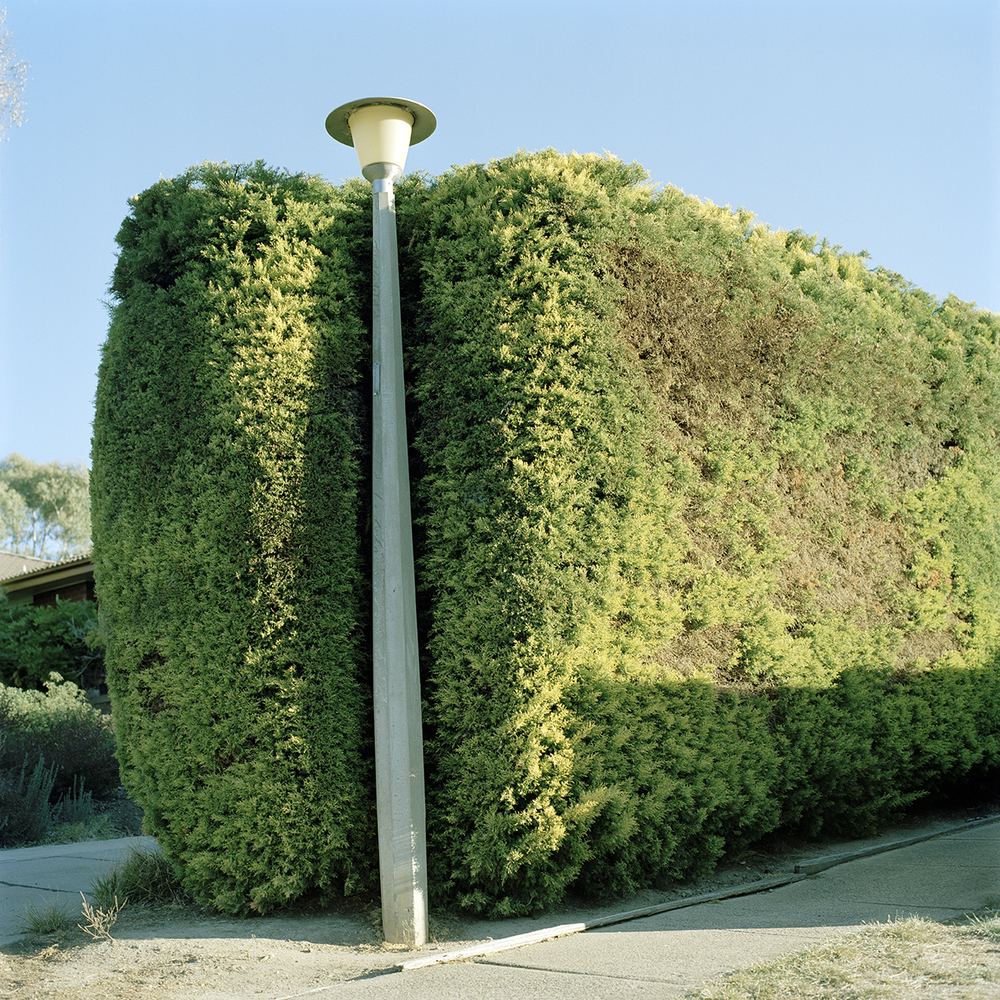 Suburban Hedge from Lee's series 'Belco Pride': “Belco’s a hole…. but it’s our hole”
