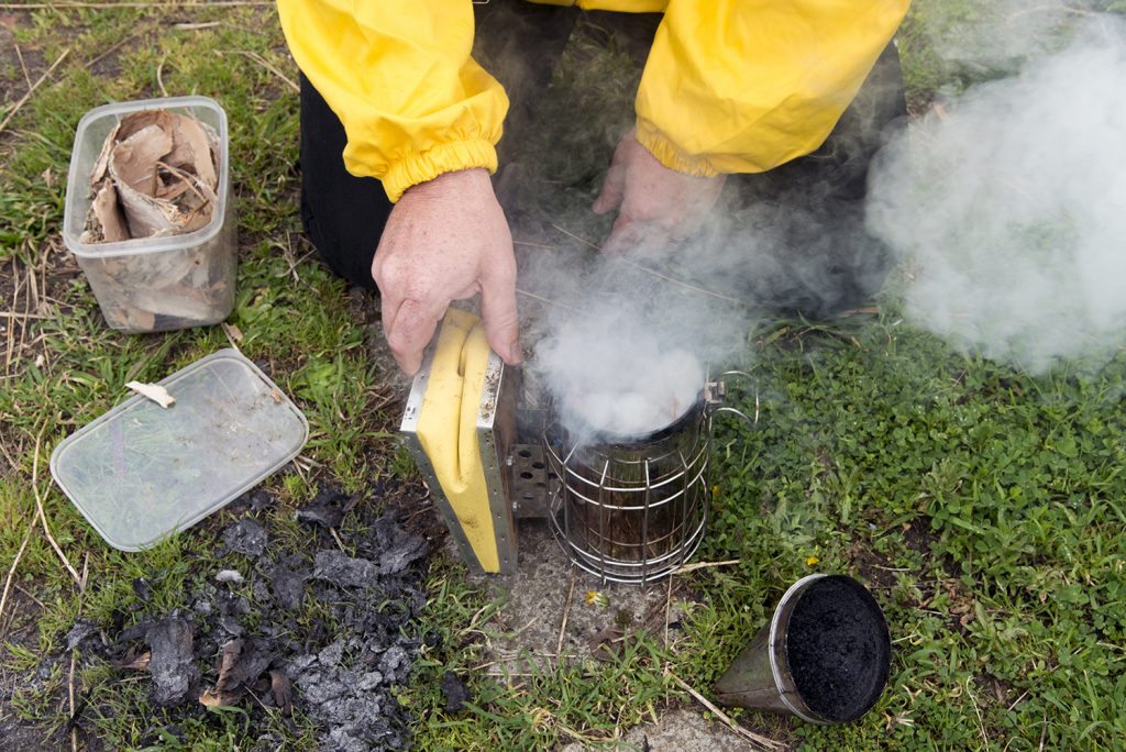 Honey Fingers smoking the bees, shot by Lee Grant