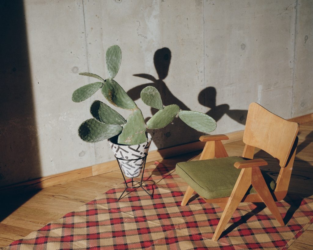 Repose Chair, 1953. Designed by George Kóródy for Artes Studios. Rubber cushion in original Belgian linen. Photographed at Hotel Hotel in Canberra, 2017 for 'The Other Moderns' edited by Rebecca Hawcroft. 